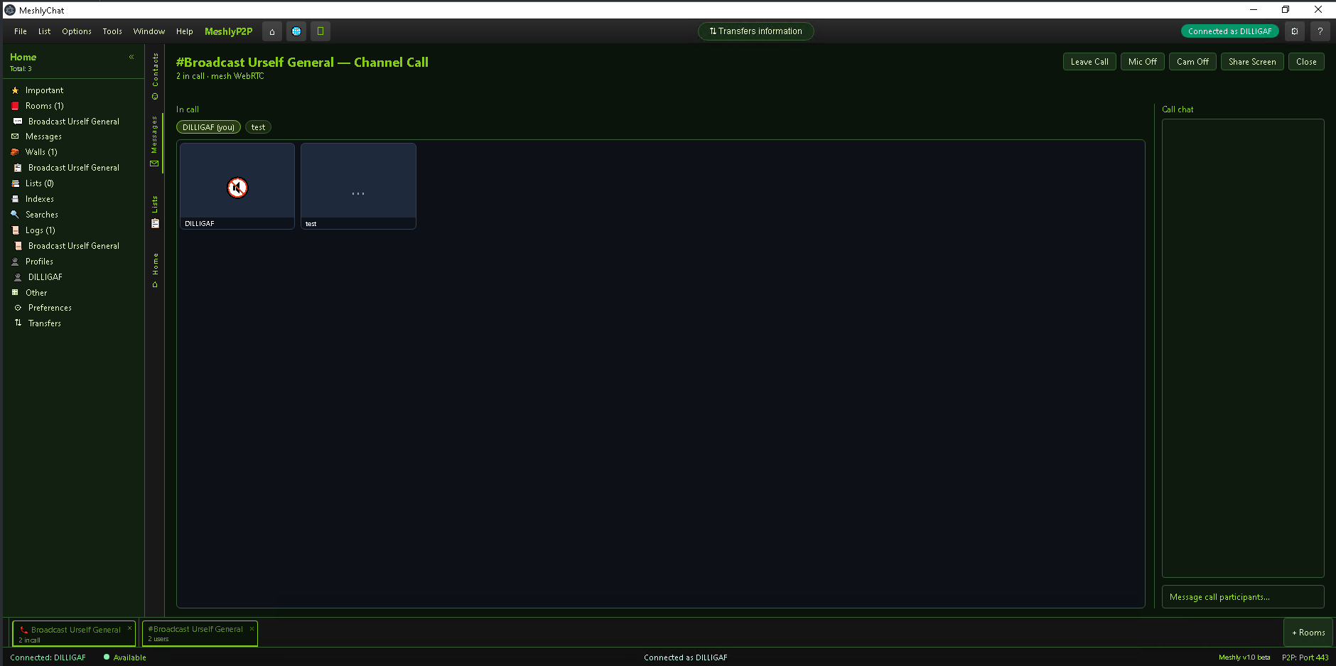Channel call with voice and video controls
